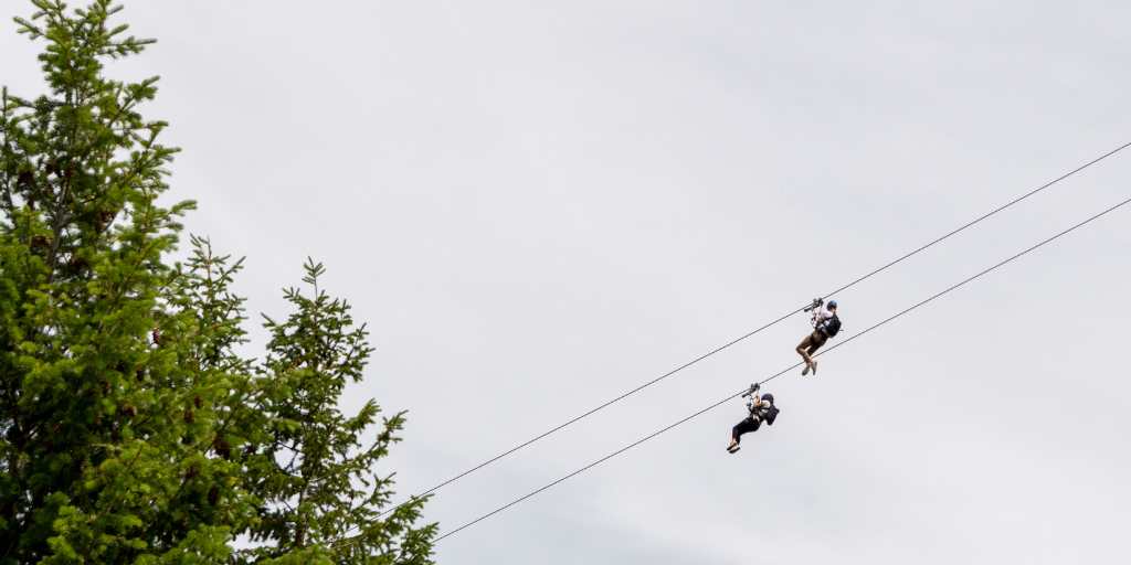 Unleash the adventurer in you! Explore the most profitable additions to high ropes courses and aerial parks that will skyrocket your adrenaline and revenue!