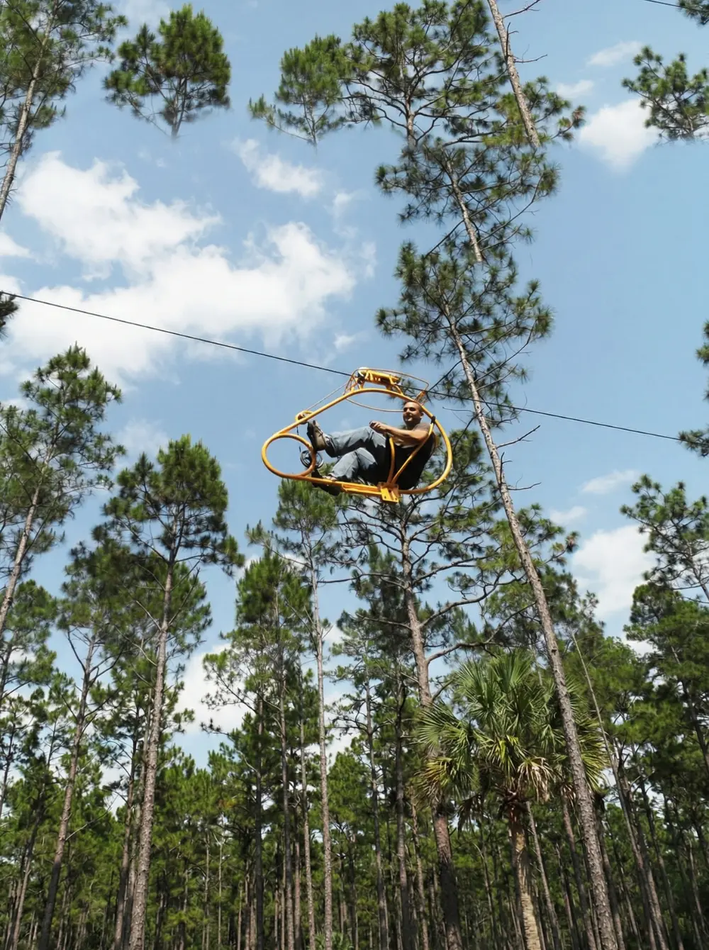 Usuarios de la bicicleta aérea AirCruizer a nivel de las copas de los árboles en un entorno de bosque