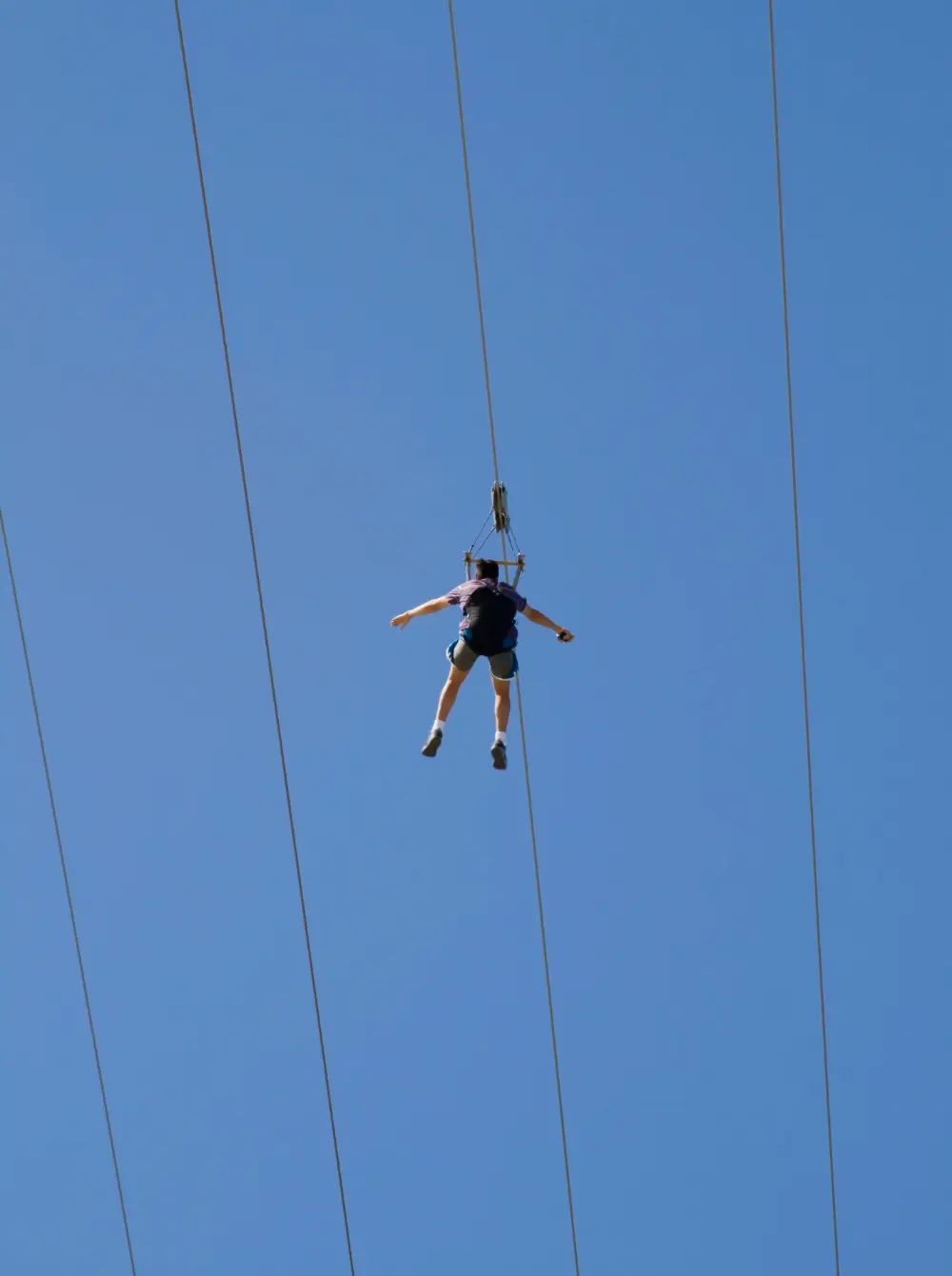 Thrill adventure attractions — Skywalker Adventure Builders