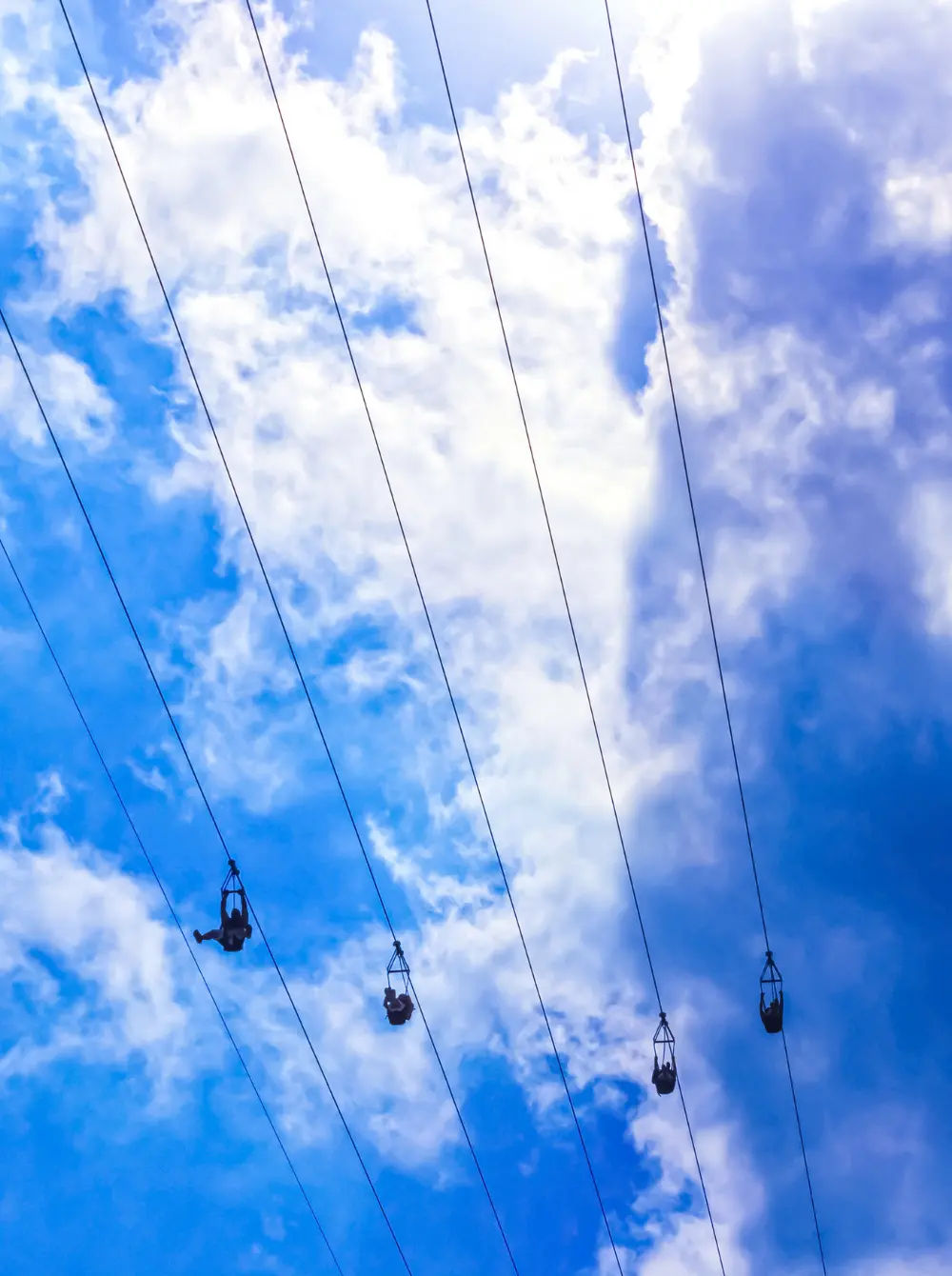 Zipline feasibility study data-driven analysis